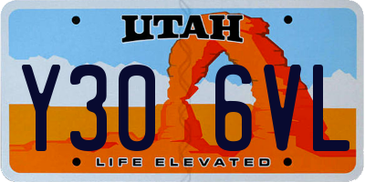 UT license plate Y306VL