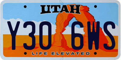 UT license plate Y306WS