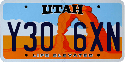 UT license plate Y306XN