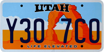 UT license plate Y307CO
