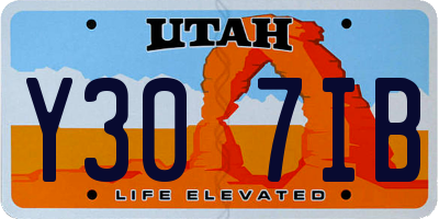 UT license plate Y307IB