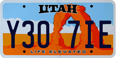 UT license plate Y307IE