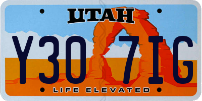 UT license plate Y307IG
