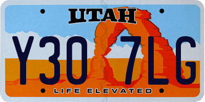 UT license plate Y307LG