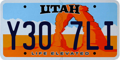 UT license plate Y307LI