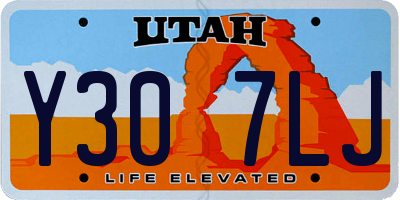 UT license plate Y307LJ