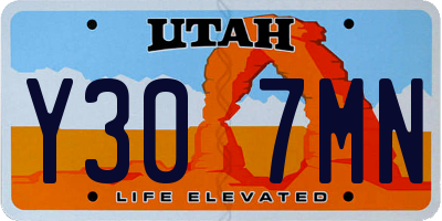 UT license plate Y307MN