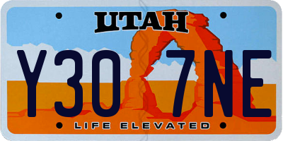 UT license plate Y307NE