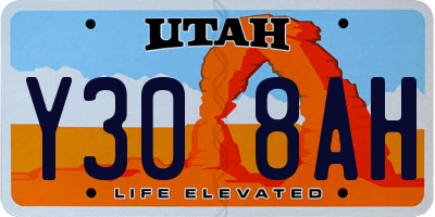 UT license plate Y308AH