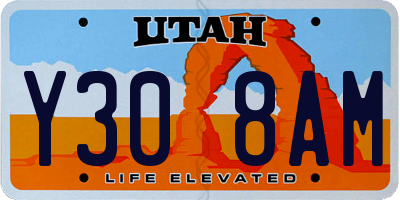 UT license plate Y308AM