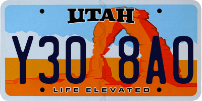 UT license plate Y308AO