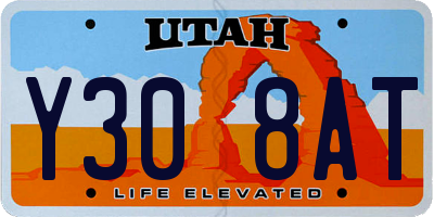 UT license plate Y308AT