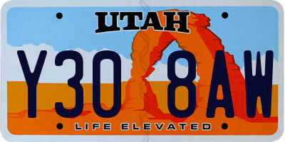 UT license plate Y308AW