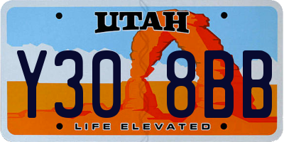 UT license plate Y308BB