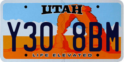 UT license plate Y308BM