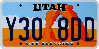 UT license plate Y308DD