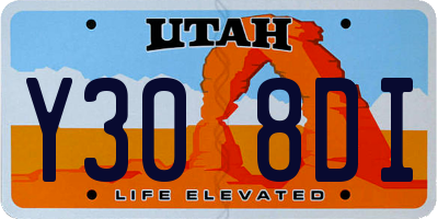 UT license plate Y308DI