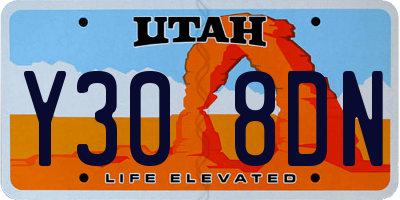 UT license plate Y308DN
