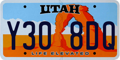 UT license plate Y308DQ