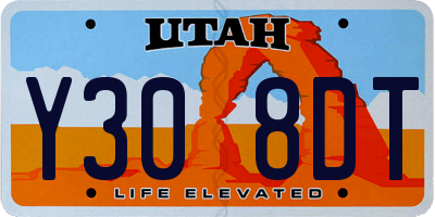 UT license plate Y308DT