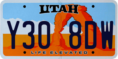 UT license plate Y308DW