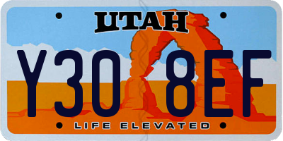 UT license plate Y308EF