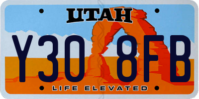 UT license plate Y308FB
