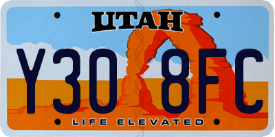 UT license plate Y308FC