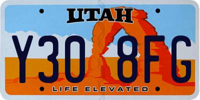UT license plate Y308FG