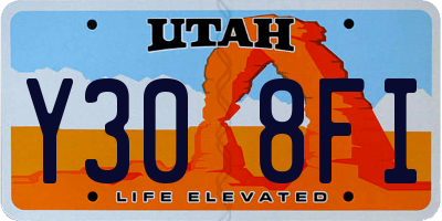 UT license plate Y308FI
