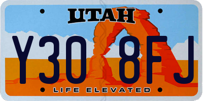 UT license plate Y308FJ