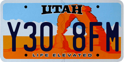 UT license plate Y308FM