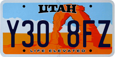 UT license plate Y308FZ