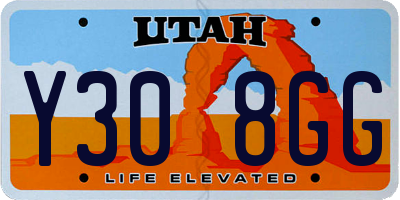 UT license plate Y308GG