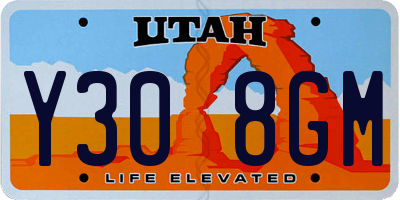 UT license plate Y308GM