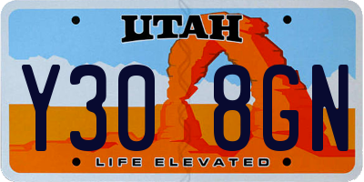 UT license plate Y308GN