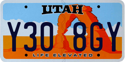 UT license plate Y308GY