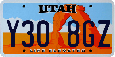 UT license plate Y308GZ