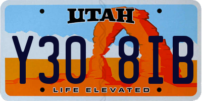 UT license plate Y308IB