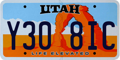 UT license plate Y308IC