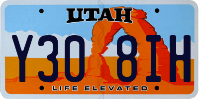 UT license plate Y308IH