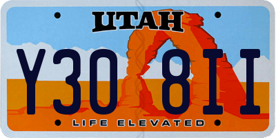 UT license plate Y308II