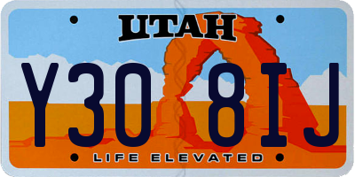 UT license plate Y308IJ