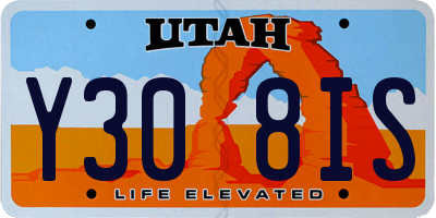 UT license plate Y308IS