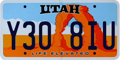 UT license plate Y308IU