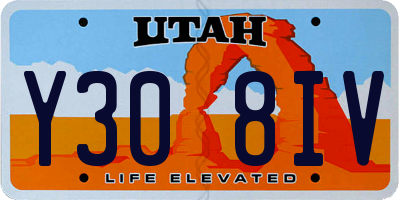 UT license plate Y308IV