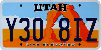 UT license plate Y308IZ