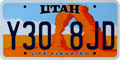 UT license plate Y308JD