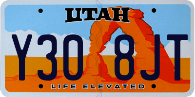 UT license plate Y308JT