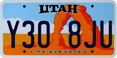 UT license plate Y308JU
